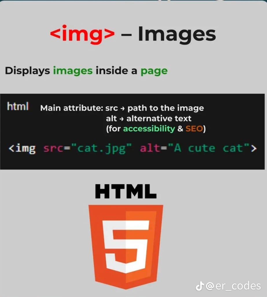HTML CSS JS Project 9